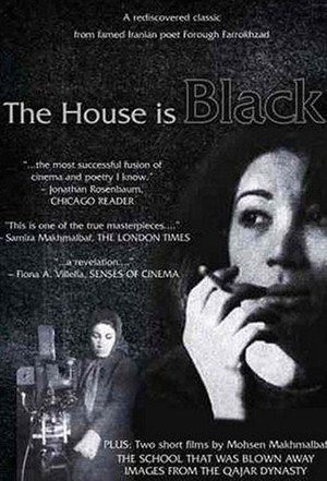 مستند خانه سیاه است