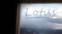 «‌لوتوس‌» در جشنواره محیط‌زیستی استرالیا