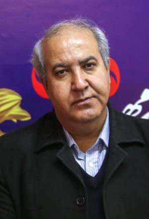 بیوگرافی حسن نجفی