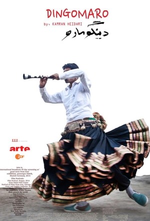 مستند سینمایی دینگومارو