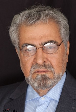 بیوگرافی محمود عزیزی